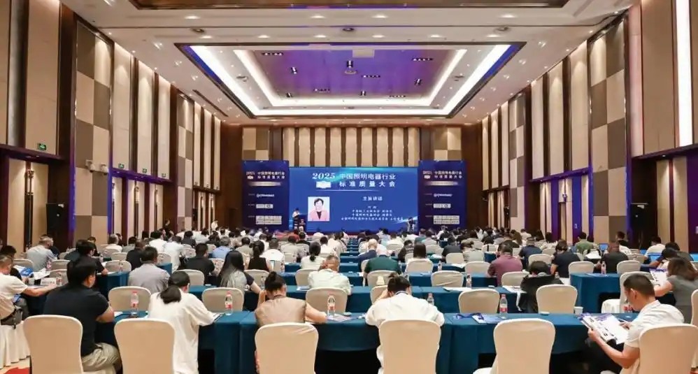 Conducerea industriei de iluminat înainte cu o calitate standard